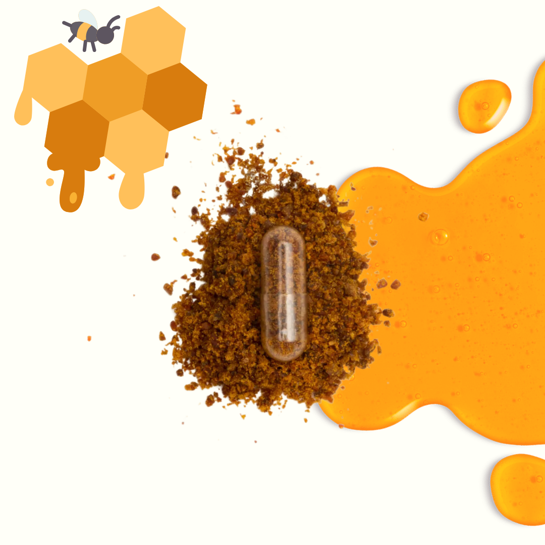 How to Build a Daily Bee Supplement Routine (Beginner's Guide)