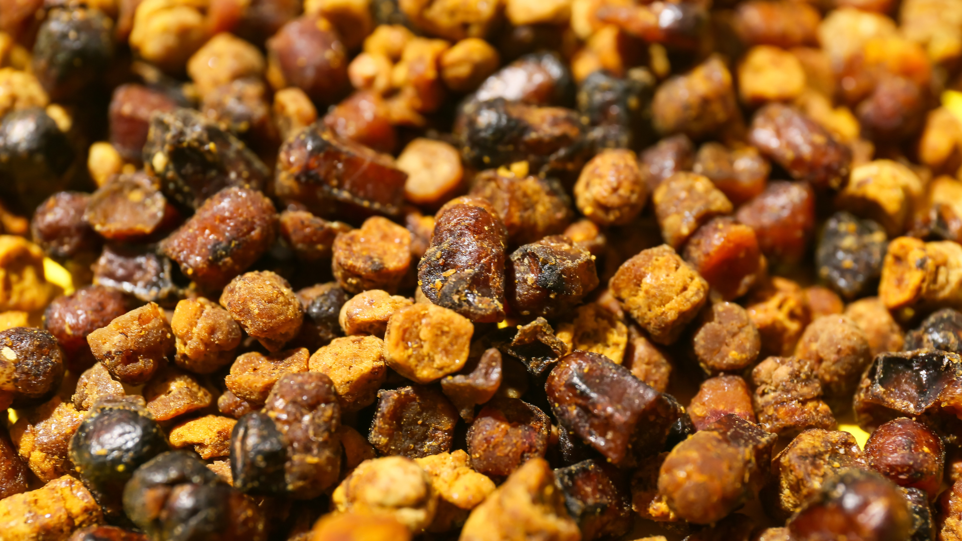 Bee Bread Perga: Benefits and How to Take It