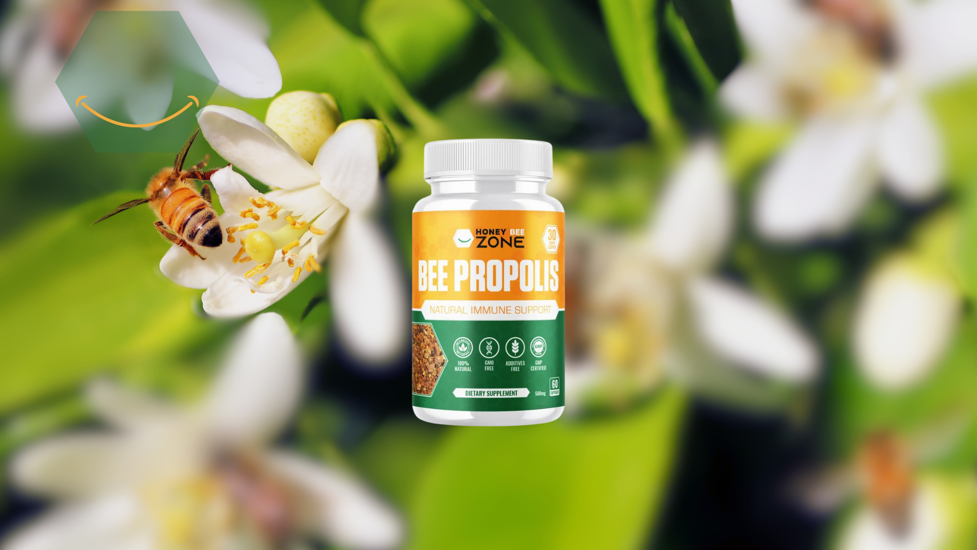 Bee Propolis for Immune Support: Benefits, Uses & What the Research Says