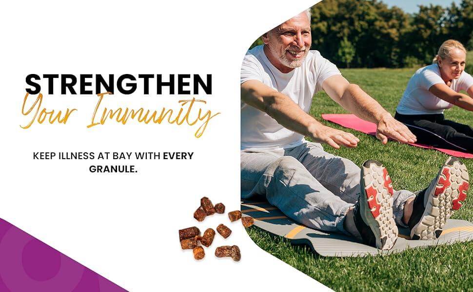 100% Natural Raw Bee Bread Non-GMO, Gluten-Free, 3.5 oz Bee Supplement - HONEYBEEZONE