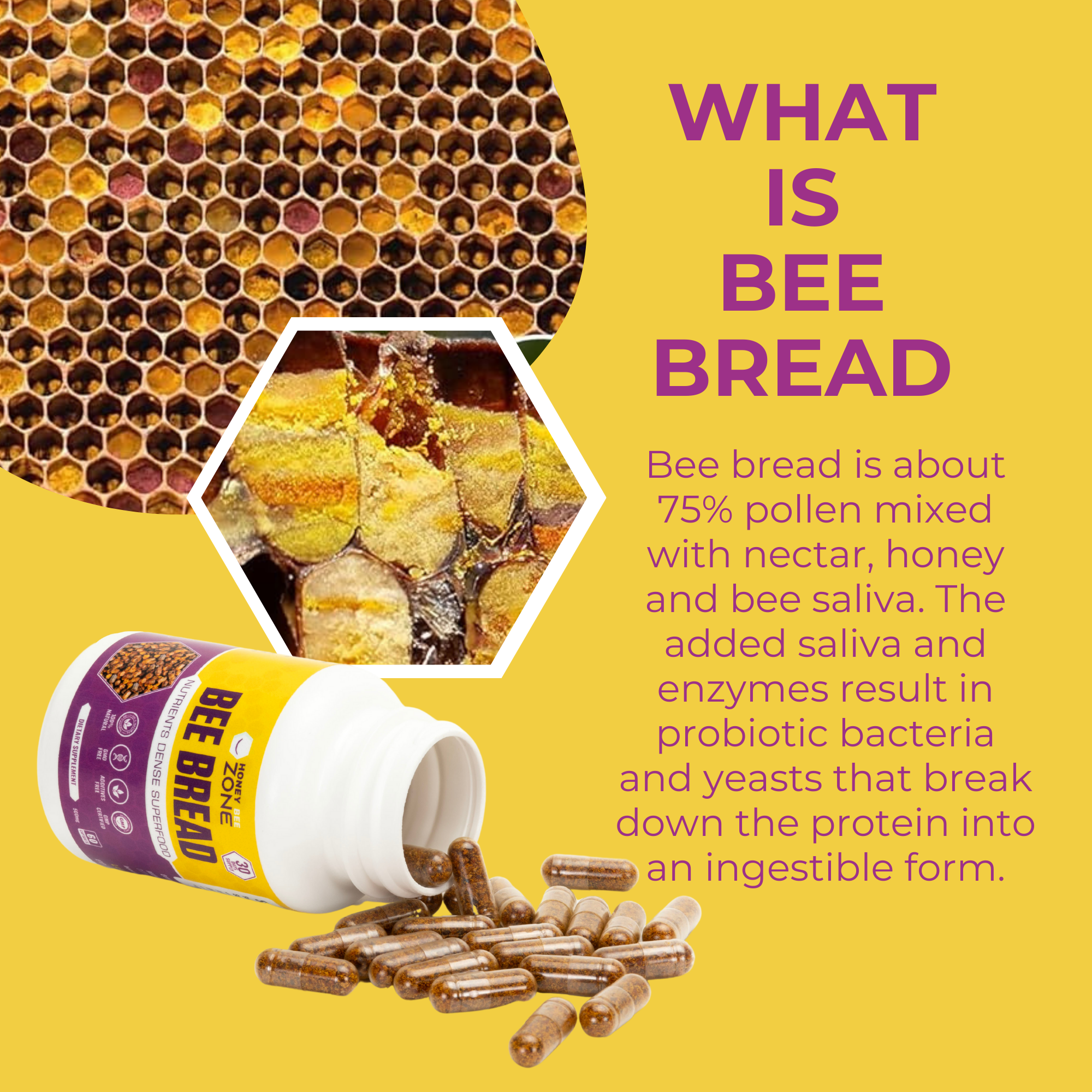 honeybeezone bee bread supplement